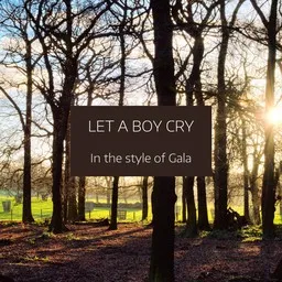 Omslagsbild för Let A Boy Cry - Gala karaokeversion