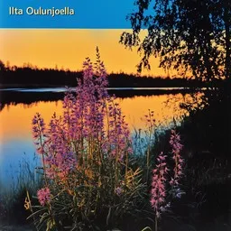 Cover art for Ilta Oulunjoella - Raimo Piipponen,Tulipunaruusut karaoke version