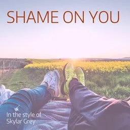 Cover art for Shame On You - Skylar Grey karaoke version