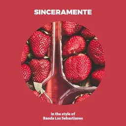 Karaokekappaleen Sinceramente - Banda Los Sebastianes kansikuva