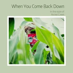Cover art for When You Come Back Down - Nickel Creek karaoke version