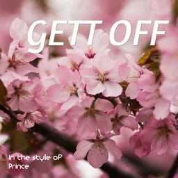 Omslagsbild för Gett Off - Prince,The New Power Generation karaokeversion