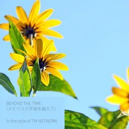 Cover art for TM NETWORK