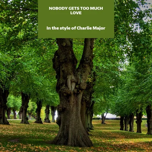Karaoke Nobody Gets Too Much Love by Charlie Major — sing along with lyrics on Singa