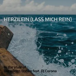 Cover art for Herzilein (Lass mich rein) - Die wilden Buben,DJ Corona karaoke version