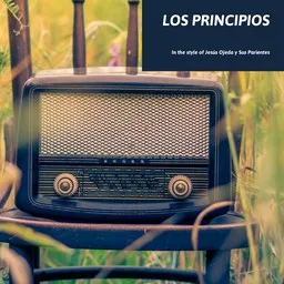 Titelbild für Los Principios - Jesús Ojeda y Sus Parientes Karaoke-Version
