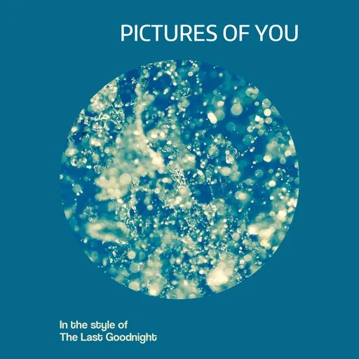 Karaoke Pictures Of You av The Last Goodnight — sjung med på texten på Singa