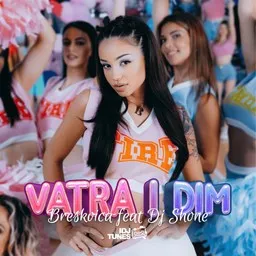 Cover art for Vatra I Dim - Breskvica,DJ Shone karaoke version