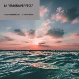 Karaokekappaleen La Persona Perfecta - Banda Los Sebastianes kansikuva