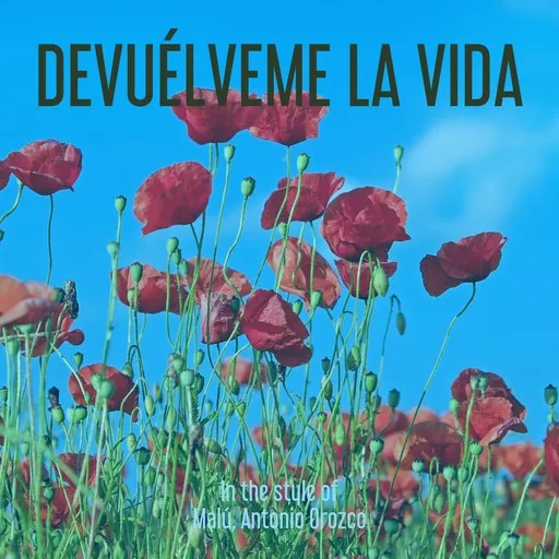 Karaoke Devuélveme la Vida by Antonio Orozco, Malú — sing along with lyrics on Singa