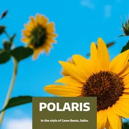 Titelbild für Polaris - Came Beats,Saiko Karaoke-Version