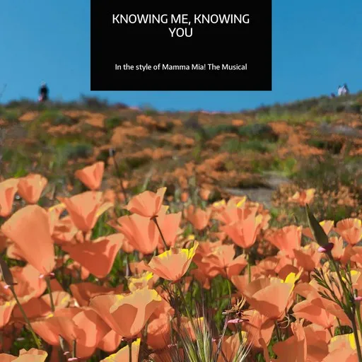 Karaoke Knowing Me, Knowing You by Mamma Mia! The Musical — sing along with lyrics on Singa