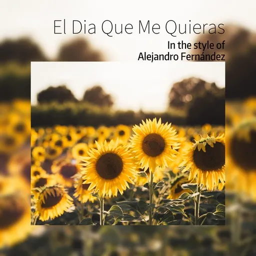 El Dia Que Me Quieras - Karaoke