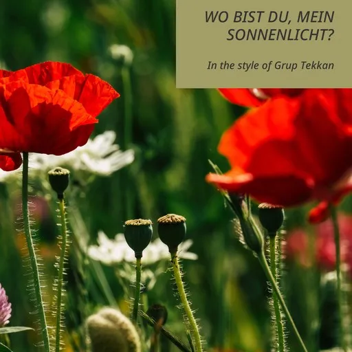 Karaoke Wo bist du, mein Sonnenlicht? by Grup Tekkan — sing along with lyrics on Singa