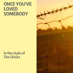 Titelbild für Once You've Loved Somebody - The Chicks Karaoke-Version