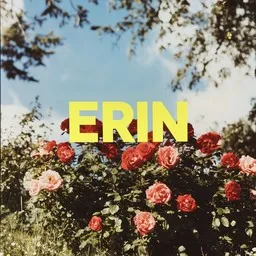 Cover art for Vanha sydän - Erin karaoke version