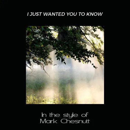 Karaoke I Just Wanted You To Know esittäjältä Mark Chesnutt — laula mukana sanoituksilla Singassa