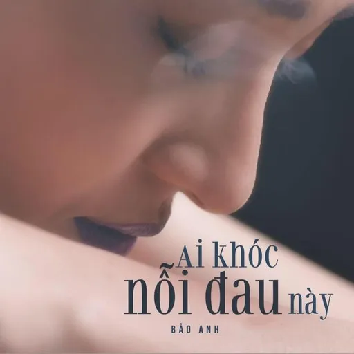 Ai Khóc Nỗi Đau Này - Karaoke