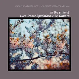 Karaokekappaleen Wackelkontakt (HBz x Luca-Dante Spadafora Remix) - HBz,Luca-Dante Spadafora,Oimara kansikuva