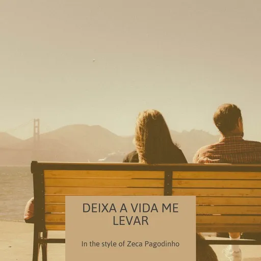 Deixa a vida me levar - Karaoke