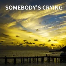 Cover art for Somebody's Crying - Chris Isaak karaoke version