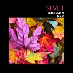 Cover art for Siivet - Teleks karaoke version