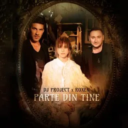 Omslagsbild för Parte Din Tine - DJ Project,Roxen karaokeversion