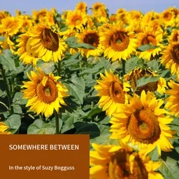 Titelbild für Somewhere Between - Suzy Bogguss Karaoke-Version