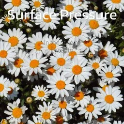 Cover art for Surface Pressure - Encanto Soundtrack karaoke version