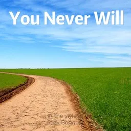 Titelbild für You Never Will - Suzy Bogguss Karaoke-Version