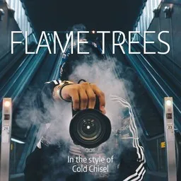 Cover art for Flame Trees - Cold Chisel karaoke version