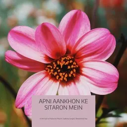 Omslagsbild för Apni Aankhon Ke Sitaron Mein - Mohammed Aziz,Police Aur Mujrim,Sadhana Sargam karaokeversion