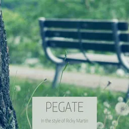 Cover art for Pegate - Ricky Martin karaoke version