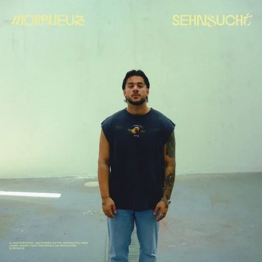 Karaoke Sehnsucht by Morpheuz — sing along with lyrics on Singa