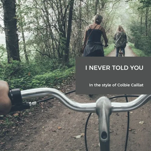 Karaoke I Never Told You by Colbie Caillat — sing along with lyrics on Singa