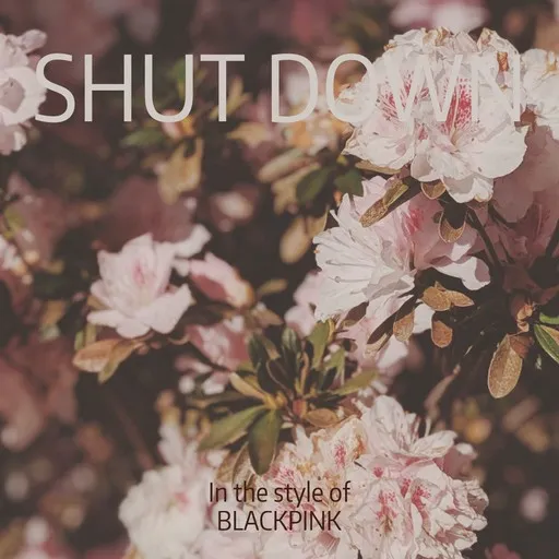 Karaoke Shut Down von BLACKPINK — mit Songtext mitsingen auf Singa