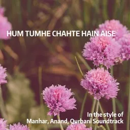 Omslagsbild för Hum Tumhe Chahte Hain Aise - Anand,Manhar,Qurbani Soundtrack karaokeversion