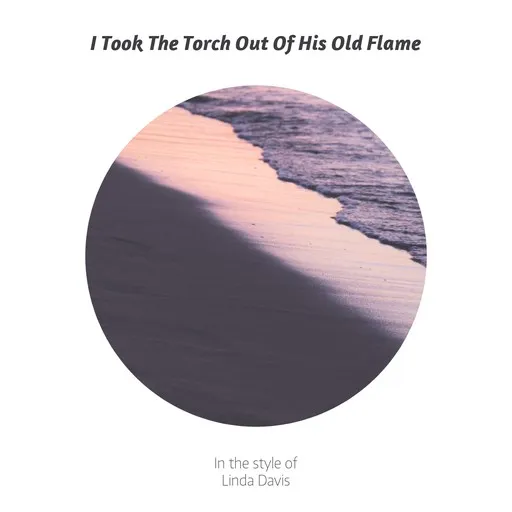 Karaoke I Took The Torch Out Of His Old Flame av Linda Davis — sjung med på texten på Singa