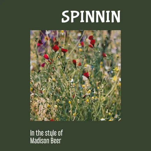 Spinnin - Karaoke