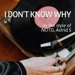Cover art for I Don't Know Why - Astrid S,NOTD karaoke version