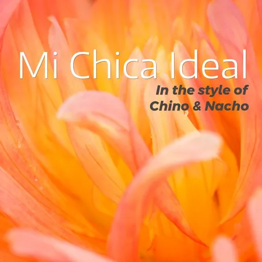 Mi Chica Ideal - Karaoke