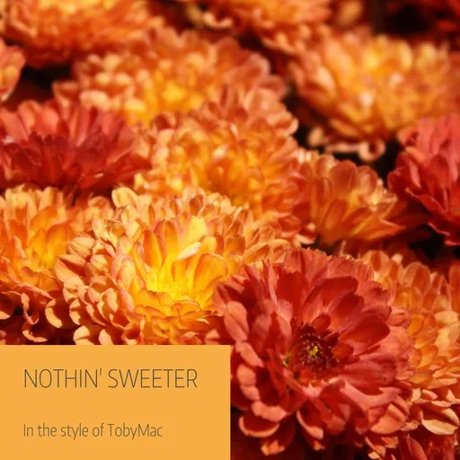 Karaoke Nothin' Sweeter esittäjältä TobyMac — laula mukana sanoituksilla Singassa