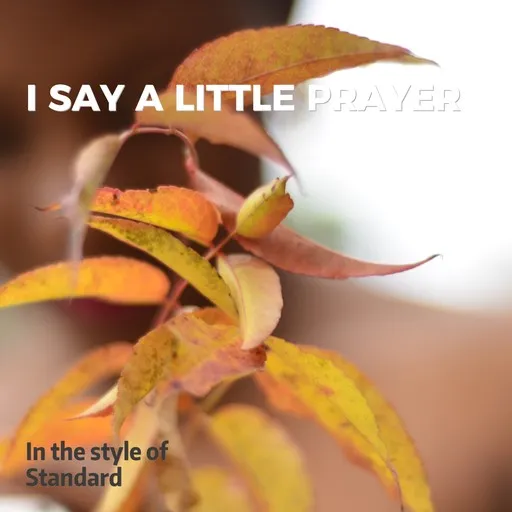 Karaoke I Say A Little Prayer by Standard — sing along with lyrics on Singa
