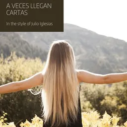 Cover art for A Veces Llegan Cartas - Julio Iglesias karaoke version