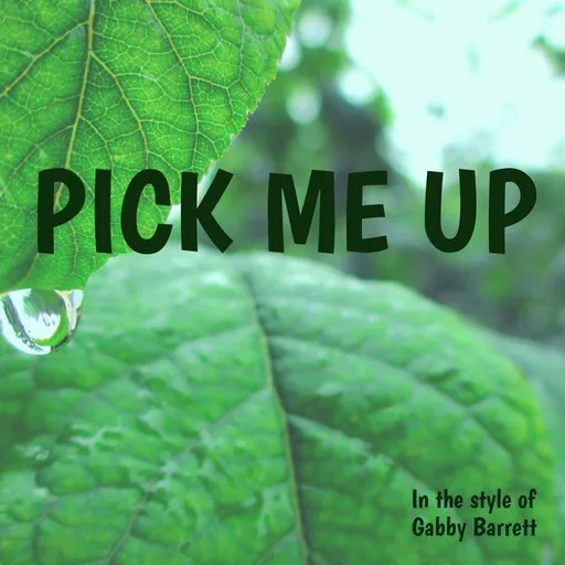 Pick Me Up - Karaoke
