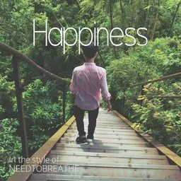 Cover art for Happiness - NEEDTOBREATHE karaoke version