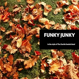 Cover art for Funky Junky - The Charlie Daniels Band karaoke version
