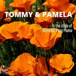 Cover art for Tommy & Pamela - Kenia OS,Peso Pluma karaoke version