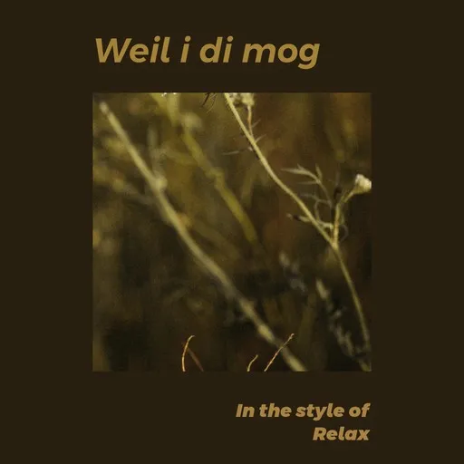 Weil i di mog - Karaoke