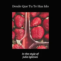 Cover art for Desde Que Tu Te Has Ido - Julio Iglesias karaoke version